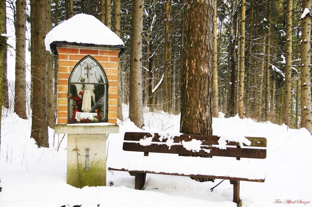 فيلا Bio-Bauernhof Haunschmid Ardagger Markt المظهر الخارجي الصورة