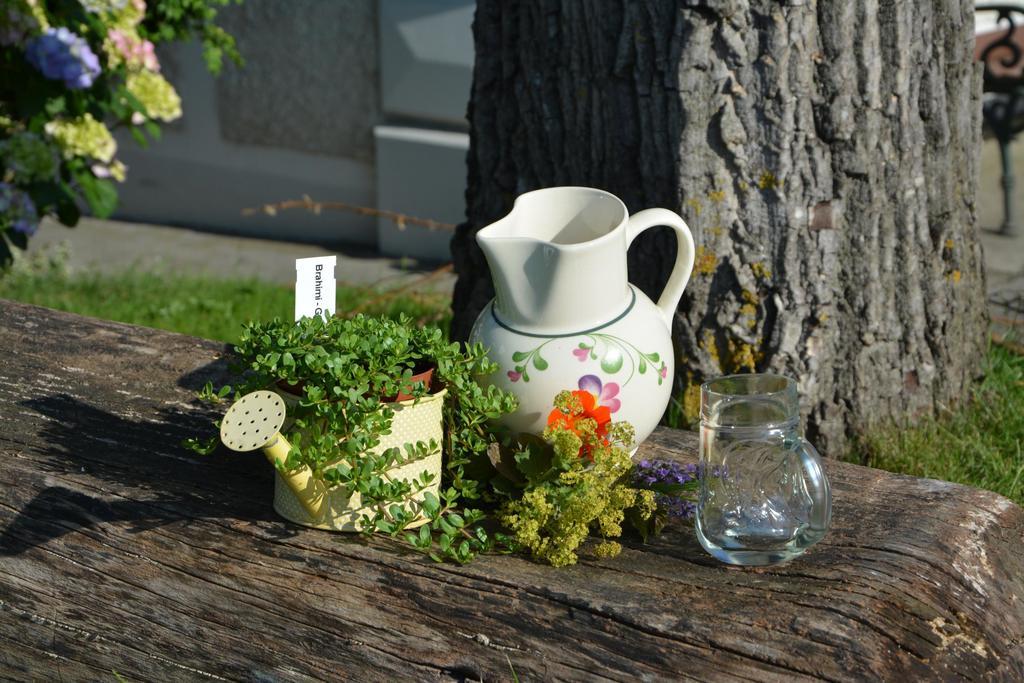 فيلا Bio-Bauernhof Haunschmid Ardagger Markt المظهر الخارجي الصورة