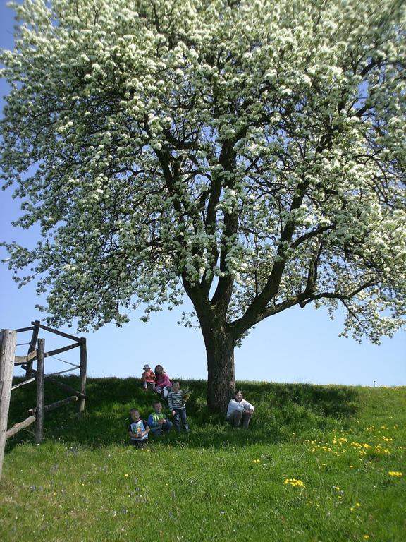 فيلا Bio-Bauernhof Haunschmid Ardagger Markt المظهر الخارجي الصورة